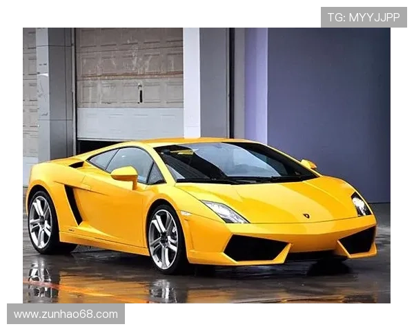 兰博基尼娱乐：豪车品牌举办的精彩娱乐活动与全球粉丝互动盛事