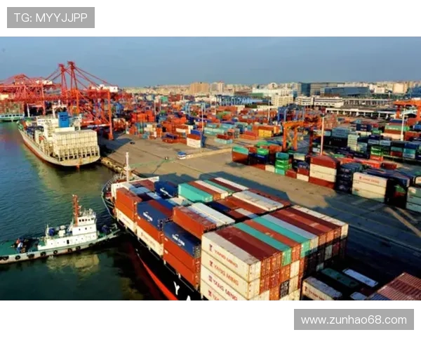 天马国际：创新驱动下的国际物流解决方案，助力企业全球布局