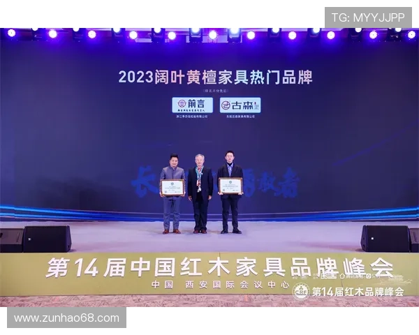 尊龙集团在游戏产业中的品牌建设与用户口碑维护策略探讨