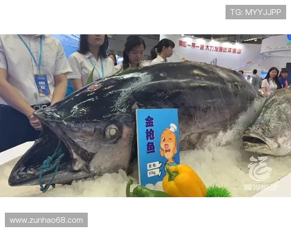 博鱼体育平台官网优惠活动不断，享受丰富的彩金奖励与专属福利的最佳途径