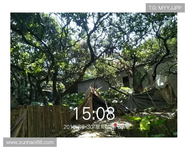 新宝6娱乐平台用户评价与口碑分析真实玩家分享游戏体验与平台信誉